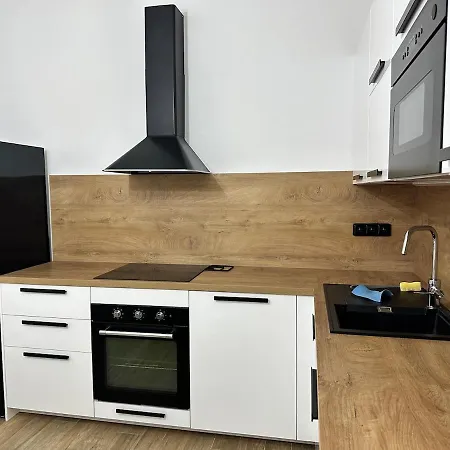 Grand V Centru Ostravy Apartment *